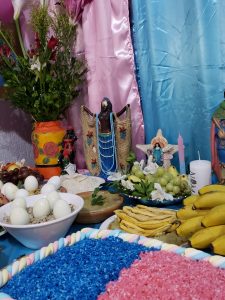 WhatsApp Image 2022-10-24 at 14.24.40