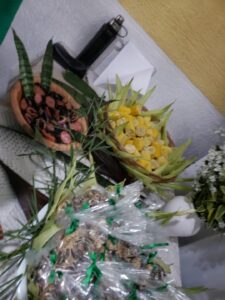 WhatsApp Image 2024-02-07 at 16.33.13 (1)