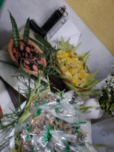 WhatsApp Image 2024-02-07 at 16.33.13 (2)