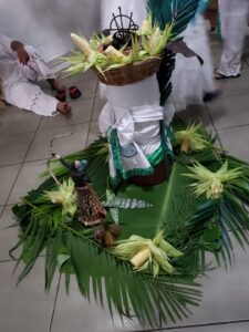 WhatsApp Image 2024-02-07 at 16.33.13 (5)