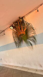 IMG-20250629-WA0004