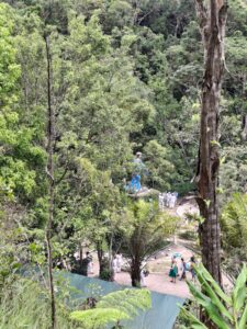 WhatsApp Image 2026-02-02 at 06.52.35 (2)