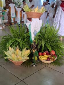 WhatsApp Image 2026-02-10 at 13.55.26 (2)