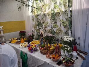 WhatsApp Image 2026-02-10 at 13.55.26