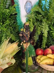 WhatsApp Image 2026-02-10 at 13.55.27