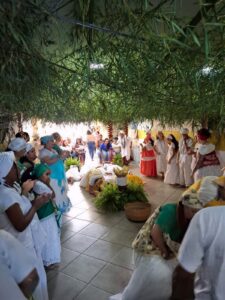 WhatsApp Image 2026-02-10 at 13.55.40