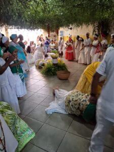 WhatsApp Image 2026-02-10 at 13.55.43