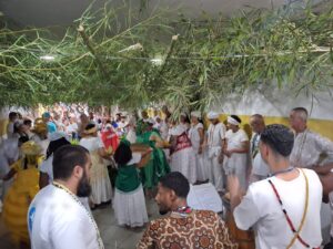 WhatsApp Image 2026-02-10 at 13.55.48